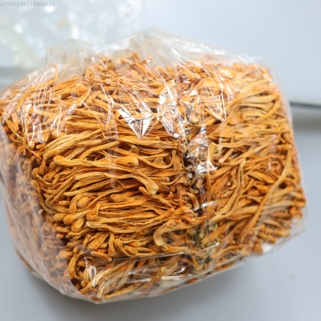 Soap Making Raw Material - Fiore di cordyceps essiccato naturale premium