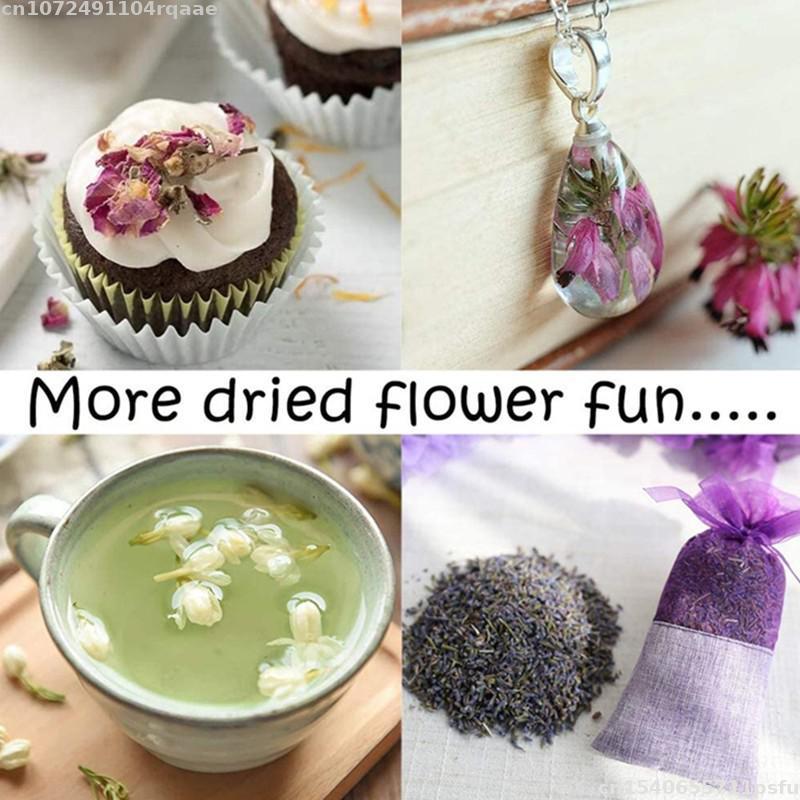 Fiori Secchi 100% Naturali Bra - Soap Making Material Wholesale recensione e prezzo