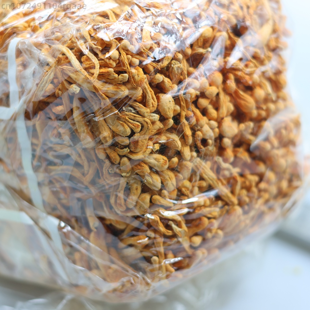 Fiore di cordyceps essiccato n - Soap Making Raw Material recensione e prezzo
